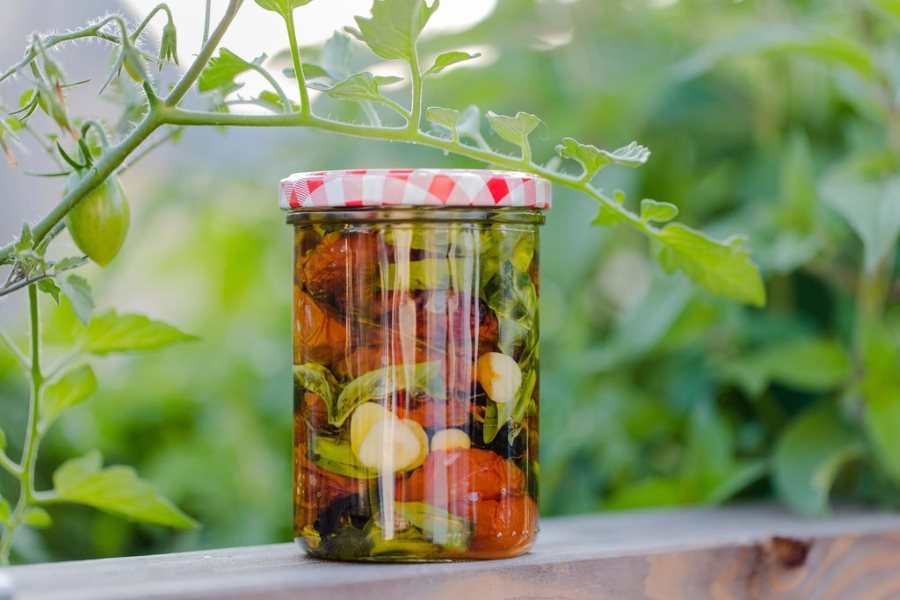 Traditional pickle preserved in a glass jar